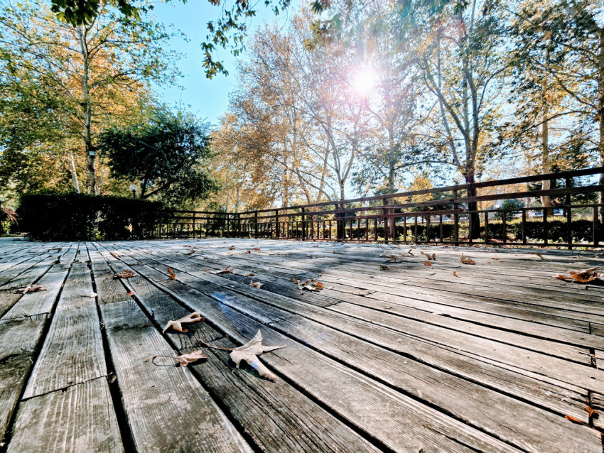 Kozan Atatürk Parkı Sonbahar