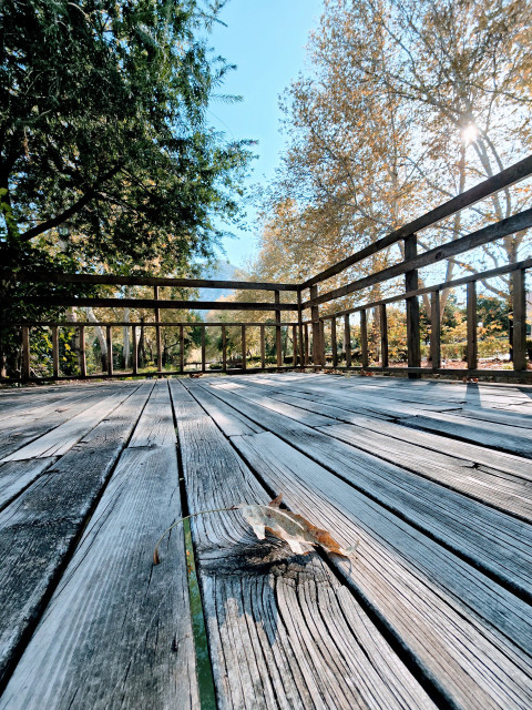 Kozan Atatürk Parkı Sonbahar