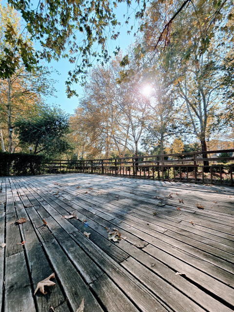 Kozan Atatürk Parkı Sonbahar